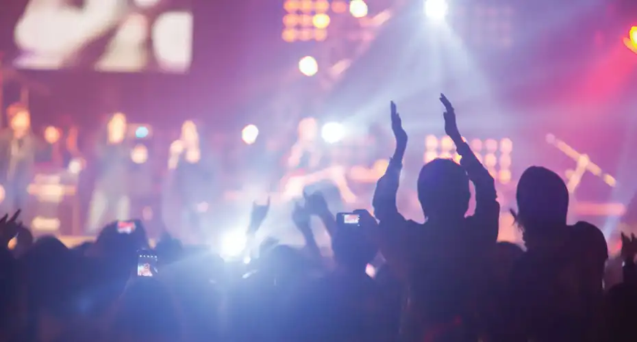 Crowds at a gig