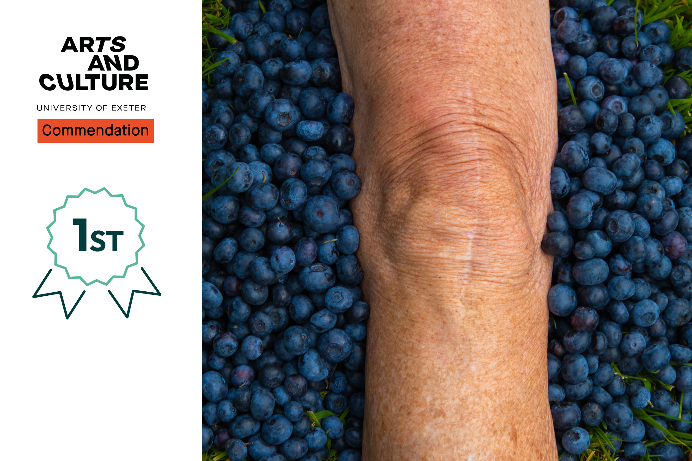 Blueberries and knee